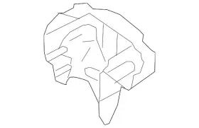 9e5z-5e258-b Ford Genuine Heat Shield