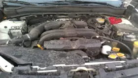 1912388 Subaru Used Vapor Canister Fits 2014 Forester Grade A