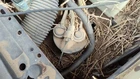 1980 Cadillac Deville Fuel Vapor Canister Oem Charcoal Housing Used. Price: $150.00.