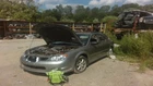 Impreza 2006 Fuel Vapor Canister 1691932 Used. Price: $75.00.
