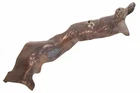 Genuine Gm Driver Side Exhaust Heat Shield 12692008 New. Price: $163.83.