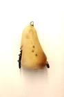 Bmw Oem E30 84-92 Coupe & Sedan Fuel Tank Vapor Expansion 16131178014 Used. Price: $64.95.