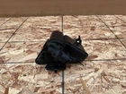 Infiniti QX30 2017-2019 Oem Fuel Gas Evaporator Charcoal Canister Assy Used. Price: $49.95.